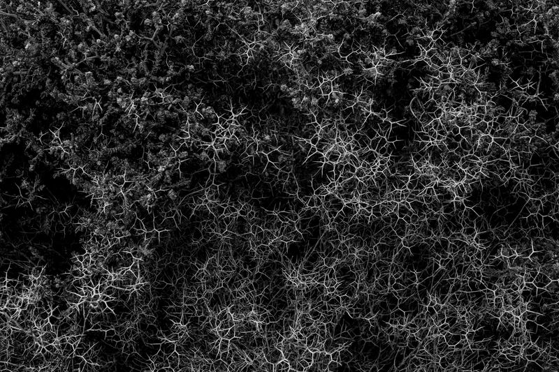 A Portrait of Turkey's Generation Y