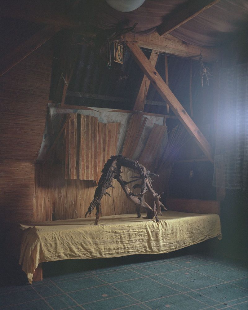 When a Childhood Endures in the Woods