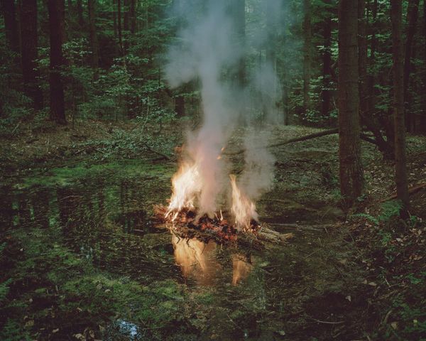 When a Childhood Endures in the Woods