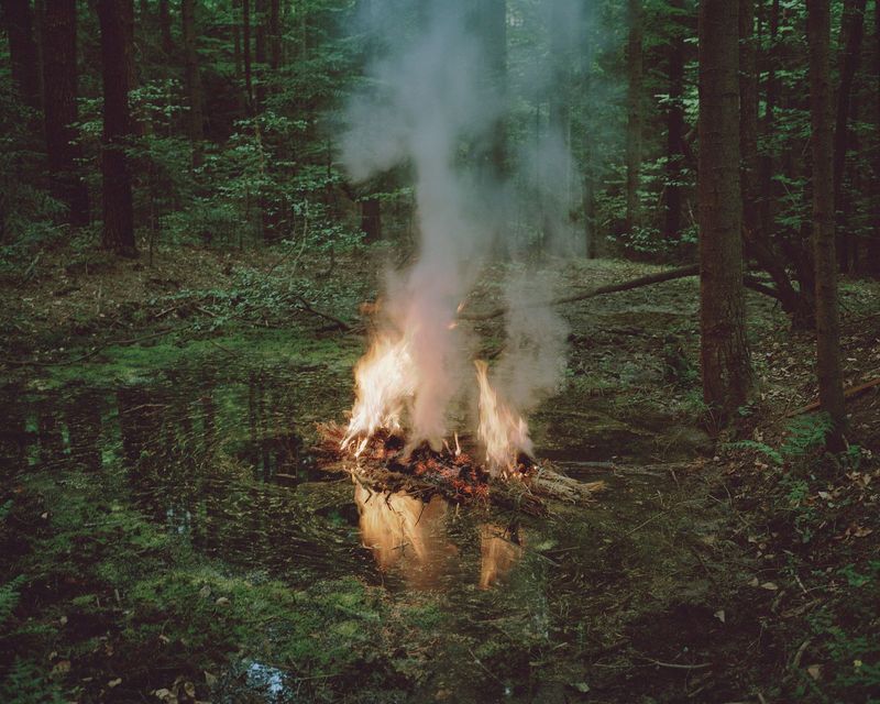 When a Childhood Endures in the Woods