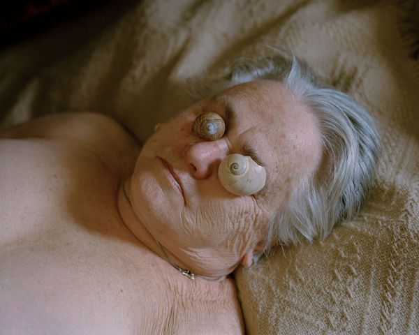 When a Childhood Endures in the Woods