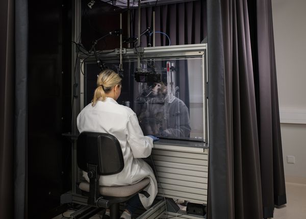 A Photographic Investigation on the Boundary Between Knowledge and Assumption