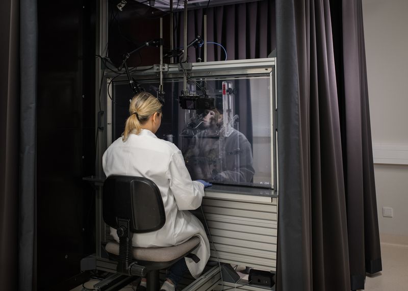 A Photographic Investigation on the Boundary Between Knowledge and Assumption