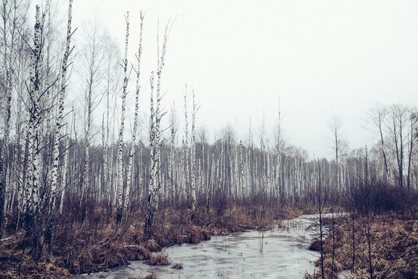 Revisiting the Recent History of Chernobyl