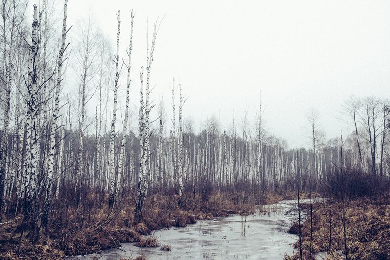 Revisiting the Recent History of Chernobyl