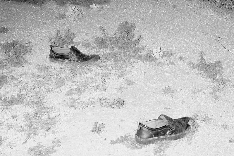 The Durability of Crime