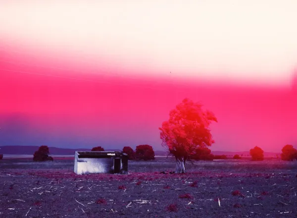 from I Came To La Pinta Because They Told Me My Father Lived Here... © Alejandra Aragon