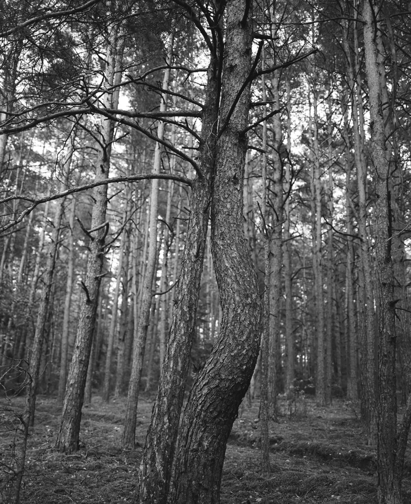 In Need of a Fluid Cultural Identity