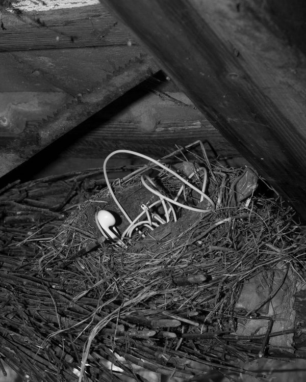 Transgenerational Trauma in Eastern Europe