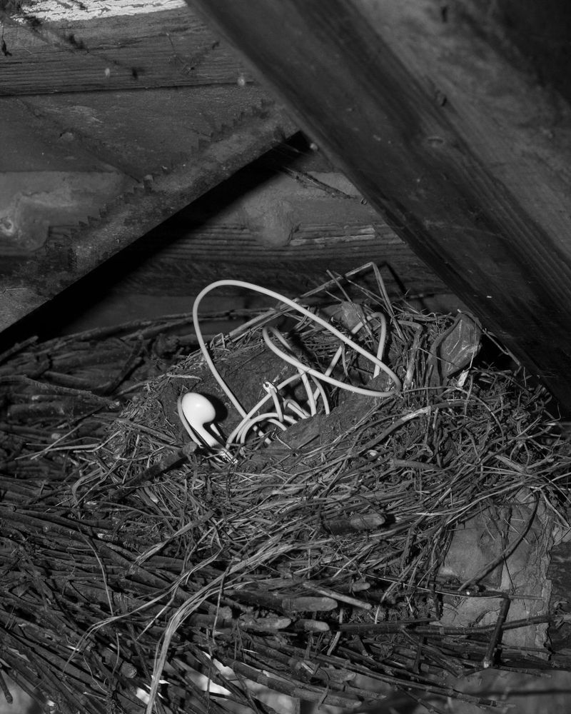 Transgenerational Trauma in Eastern Europe