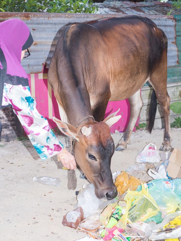 A Personal Account of Gentrification in Kuala Lumpur