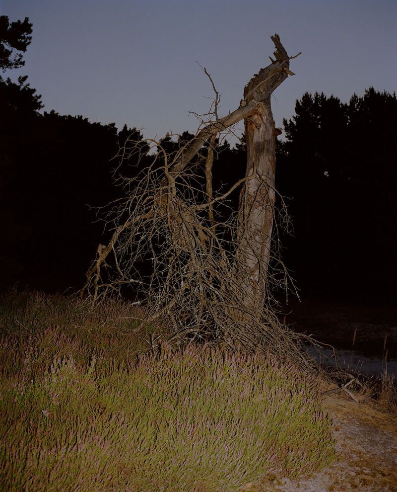 Steven Natusch Confronts Nostalgia and Uncertainty by Photographing the Unfamiliar