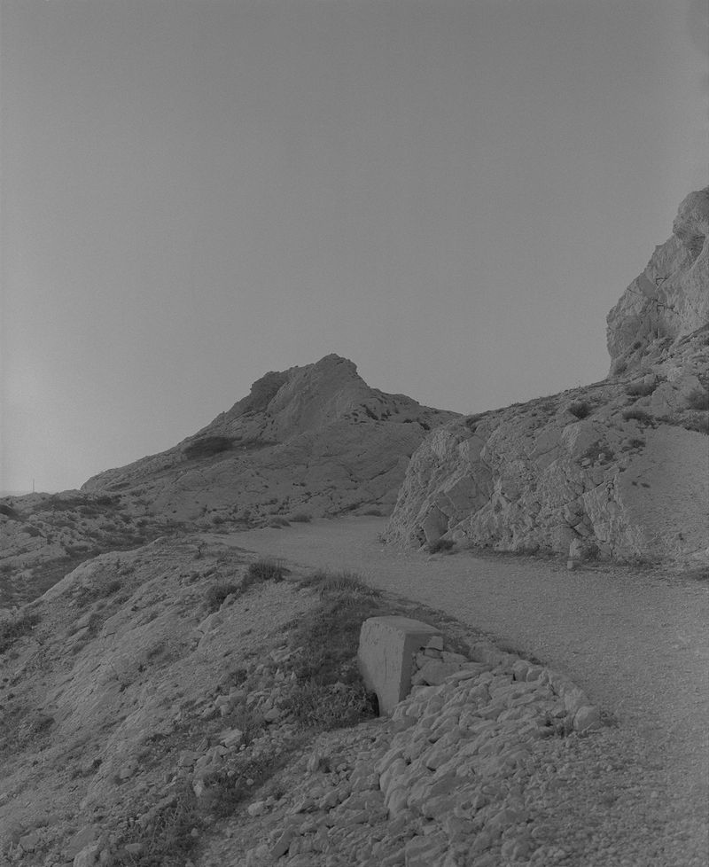 Steven Natusch Confronts Nostalgia and Uncertainty by Photographing the Unfamiliar