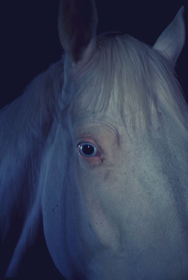 --------------