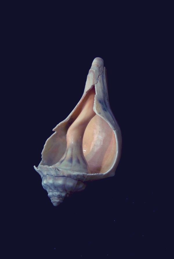Abstract Scenarios: A Silent Dialogue Between Body and Nature