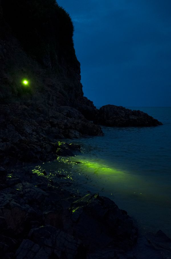 On Intimacy and On Mythologies, On Power and On Ruination: Six Projects For Earth Day