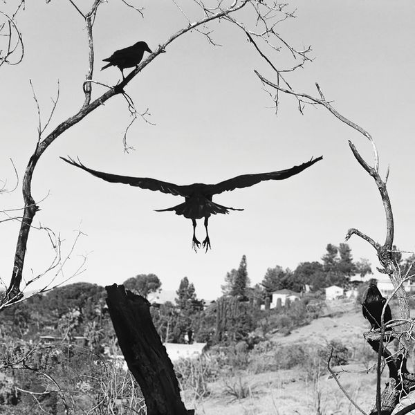 © Katerina Stratos