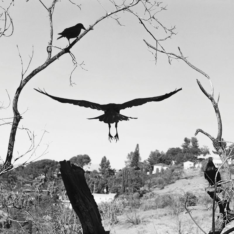 © Katerina Stratos