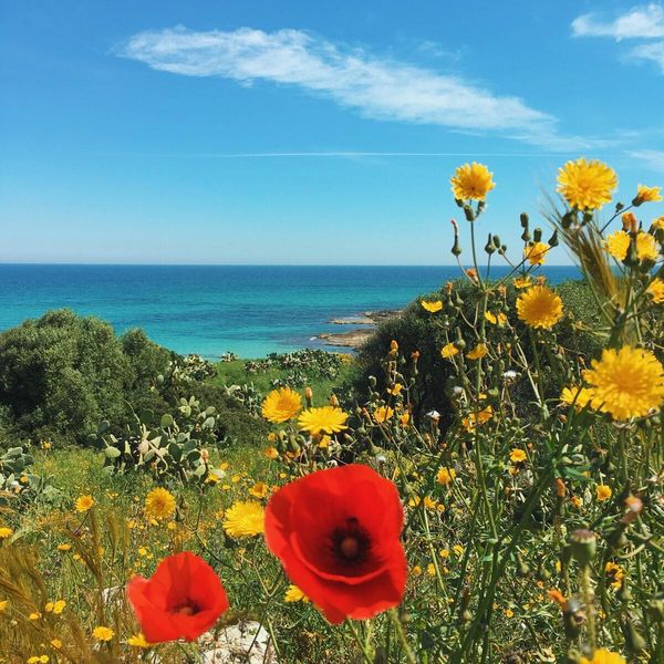 © Piero Percoco, from the series The Rainbow is Underestimated