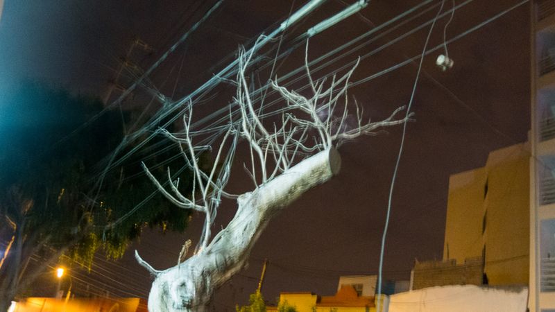 On the Road Away from the Venezuelan Roots