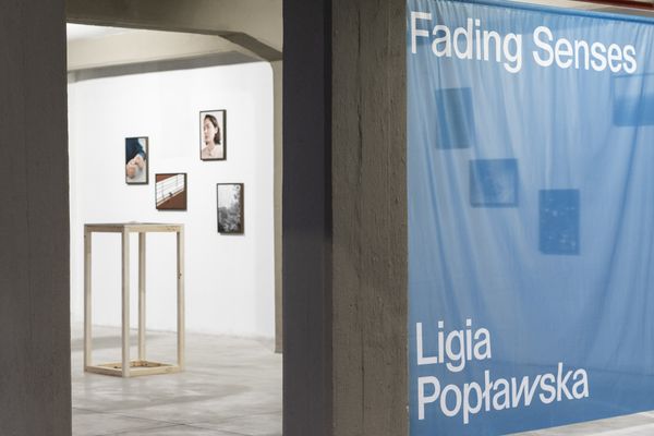 Ligia Popławska On Exhibiting at the PhMuseum Days