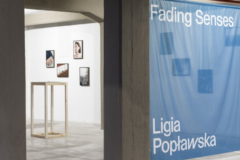 Ligia Popławska On Exhibiting at the PhMuseum Days