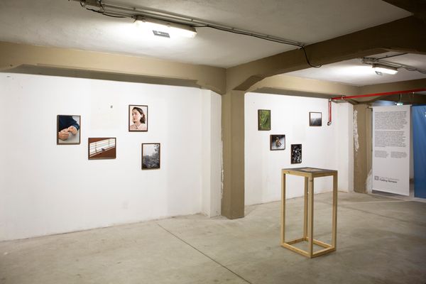 Ligia Popławska On Exhibiting at the PhMuseum Days