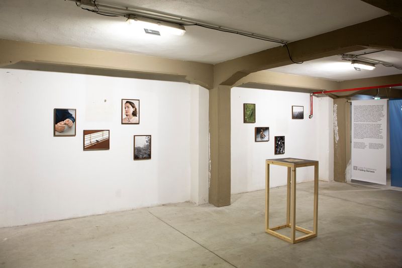 Ligia Popławska On Exhibiting at the PhMuseum Days