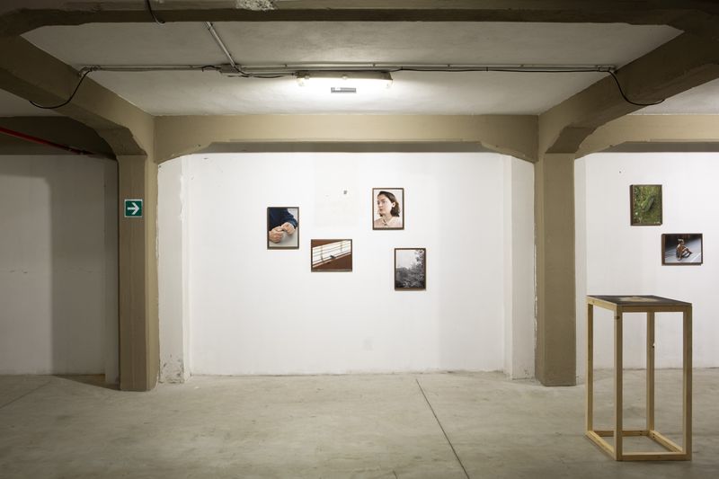 Ligia Popławska On Exhibiting at the PhMuseum Days