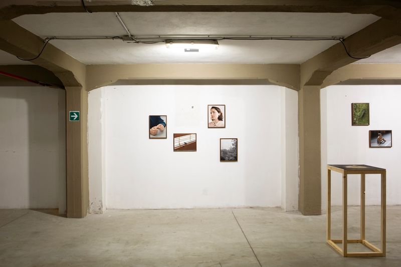 Ligia Popławska On Exhibiting at the PhMuseum Days