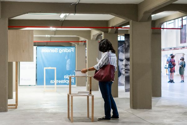 Ligia Popławska On Exhibiting at the PhMuseum Days