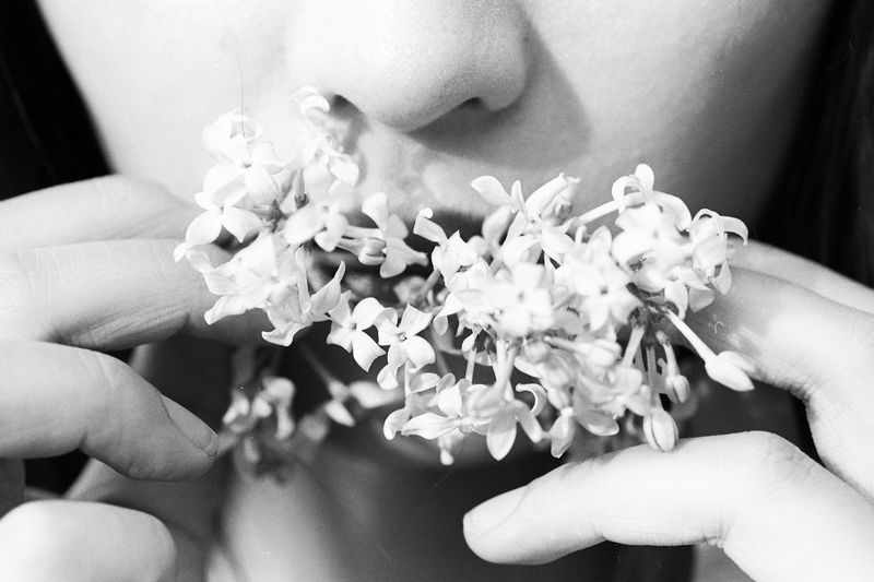 A Visual Digression from Reality in Contemporary China