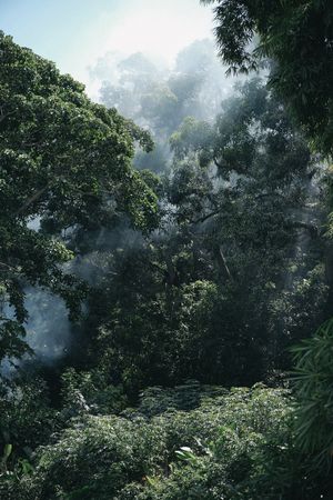 Tips And Mistakes To Avoid When Applying To A Photography Grant