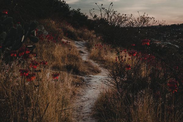 A Poetic Tale Honouring a Missing Mexican Woman