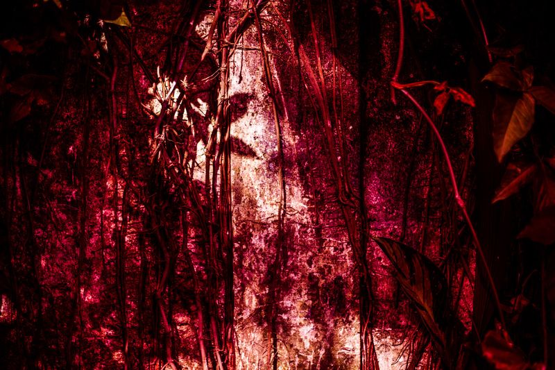 A Poetic Tale Honouring a Missing Mexican Woman