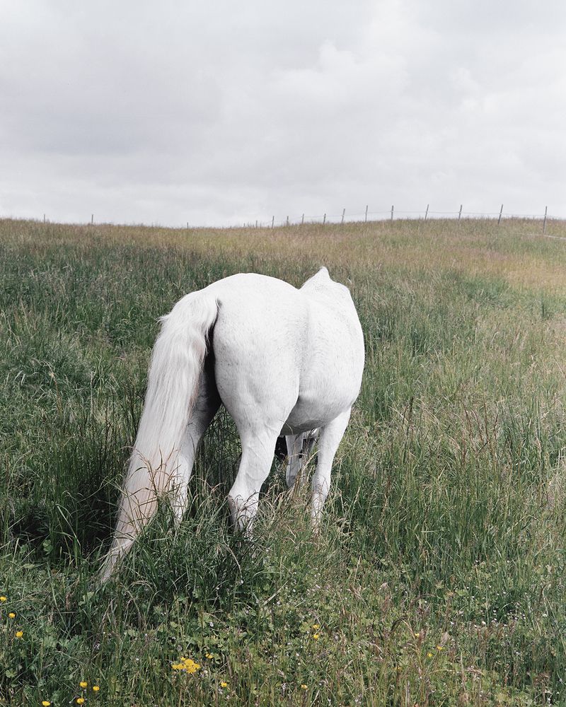 Sarah Grethe Approaches the Subject of Returning Home through her Mother's experience.
