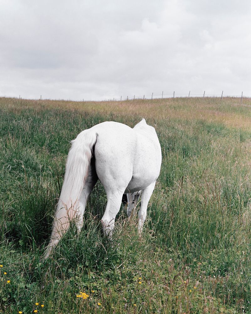 Sarah Grethe Approaches the Subject of Returning Home through her Mother's experience.