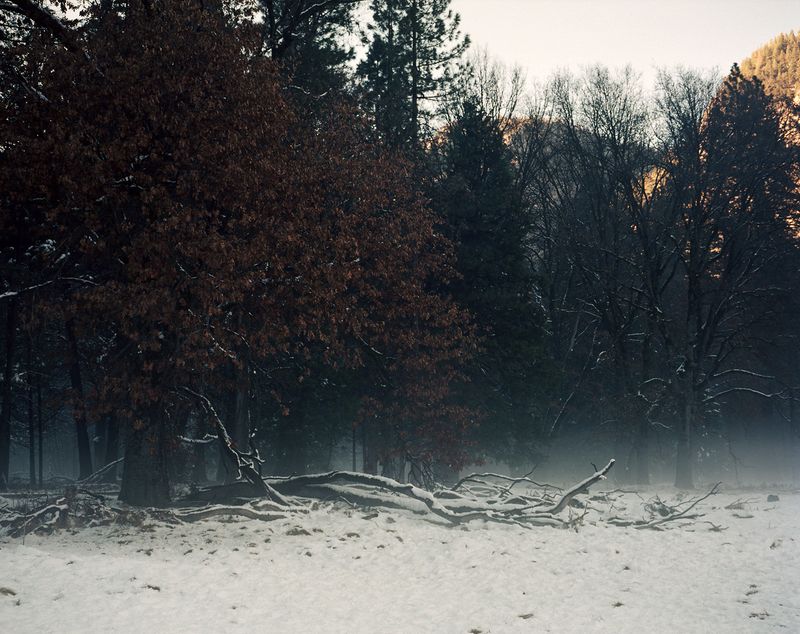 Crime Reconstruction in the Iconic Yosemite National Park