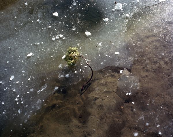 Crime Reconstruction in the Iconic Yosemite National Park