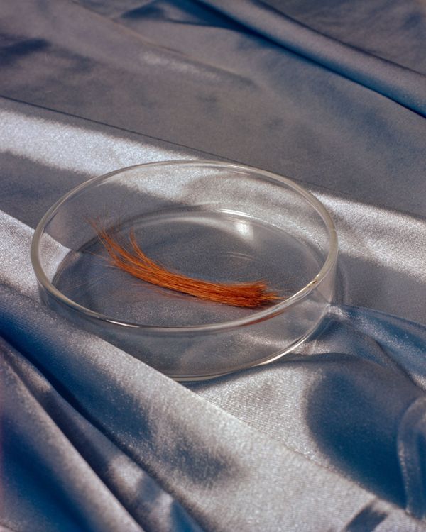 from The Two Strands © Juliana Gómez Quijano
