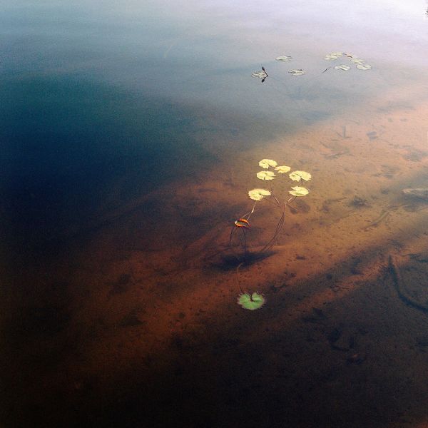 The Loss of Mythology as the Loss of our Place Within the Environment