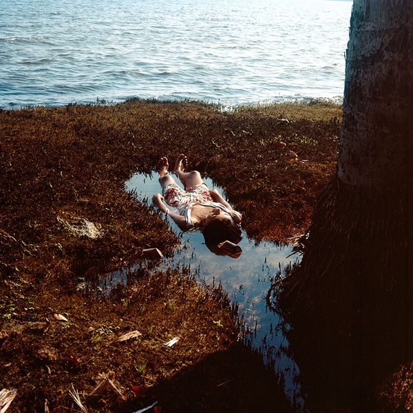 The Loss of Mythology as the Loss of our Place Within the Environment