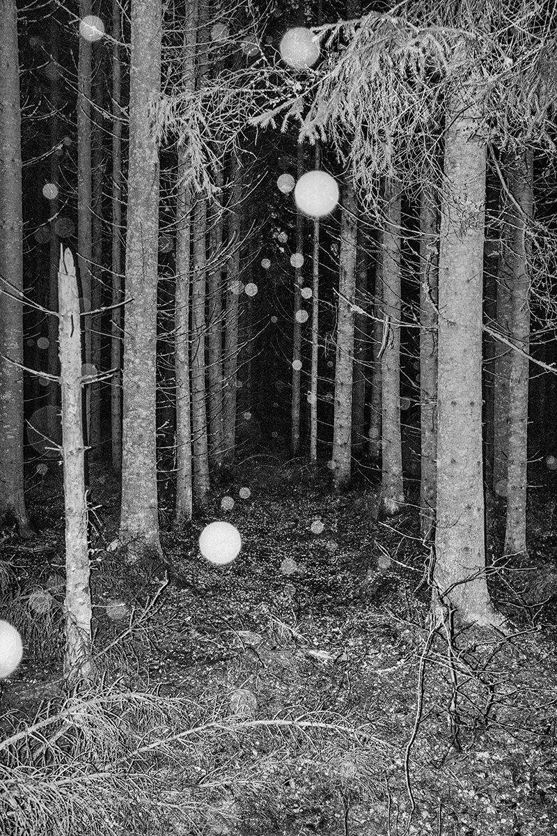 A Dark Universe Hidden within Sweden's Natural Environment