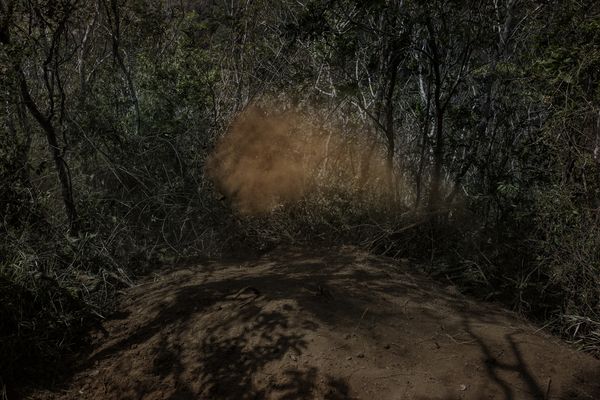 A Dark Tale of Violence in Central America’s Northern Triangle