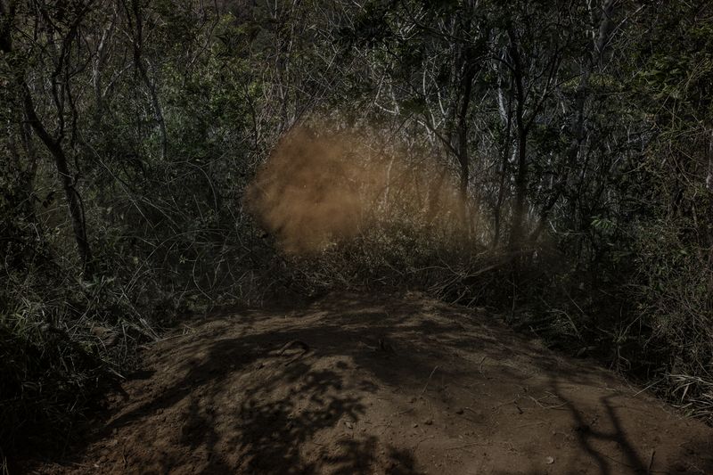 A Dark Tale of Violence in Central America’s Northern Triangle