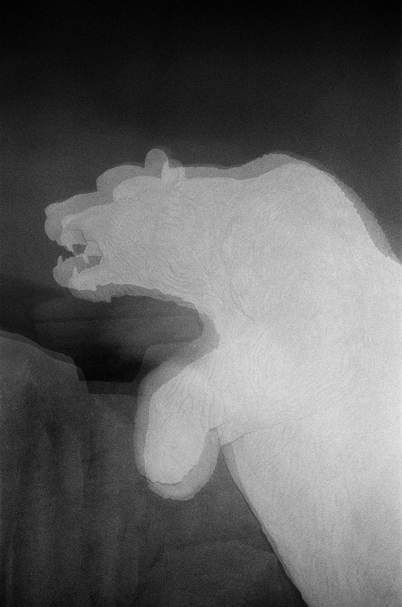 A Meditative Portrait of Nocturnal China