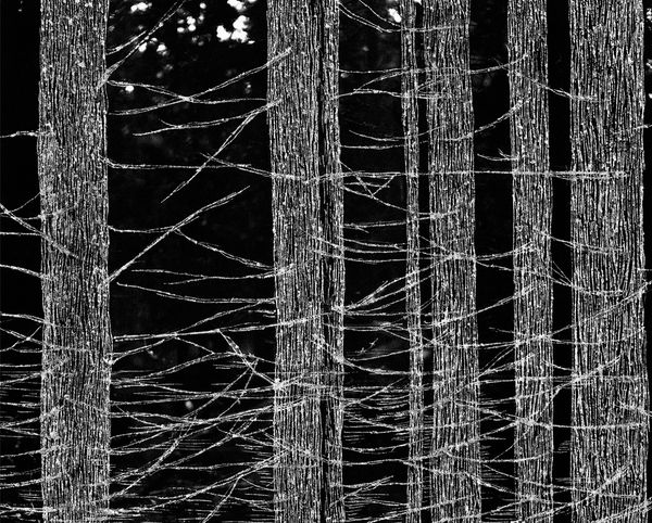 Reconstructing Identity From Personal Experiences