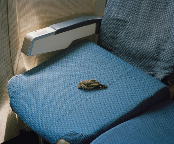 © Nick Ballon, from the series, Ezekiel 36:36