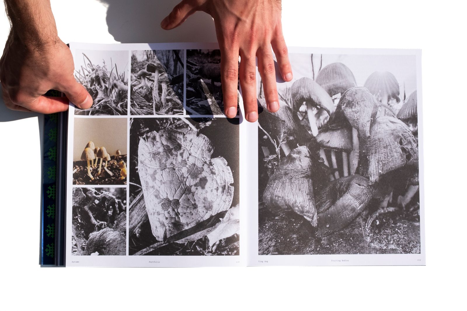 PhMuseum Annual #02 – Giardino