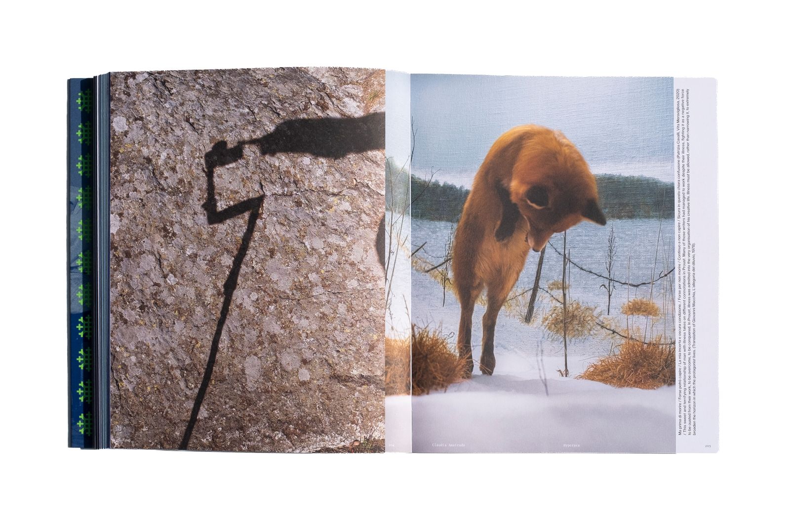 PhMuseum Annual #02 – Giardino